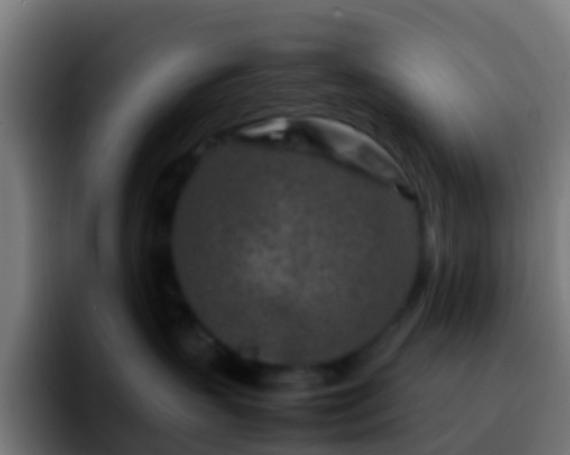 X0000092270383200709211141