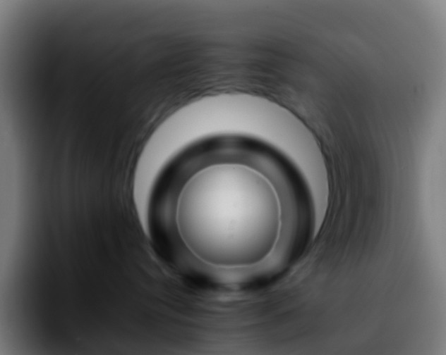 X0000092270384200709211141