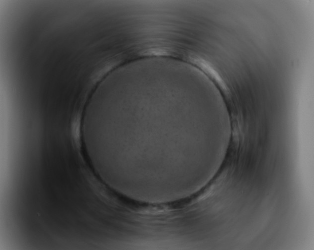 X0000092270386200709211141