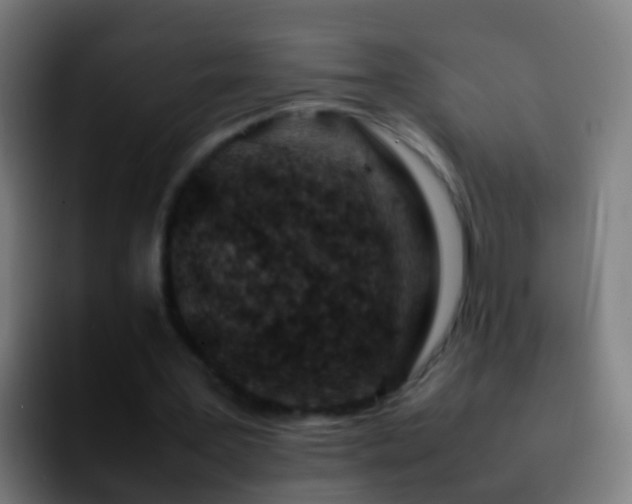X0000092270387200709211141