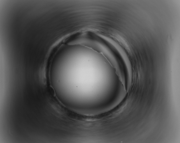 X0000092270388200709211141