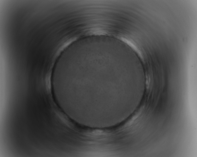 X0000092270390200709211141