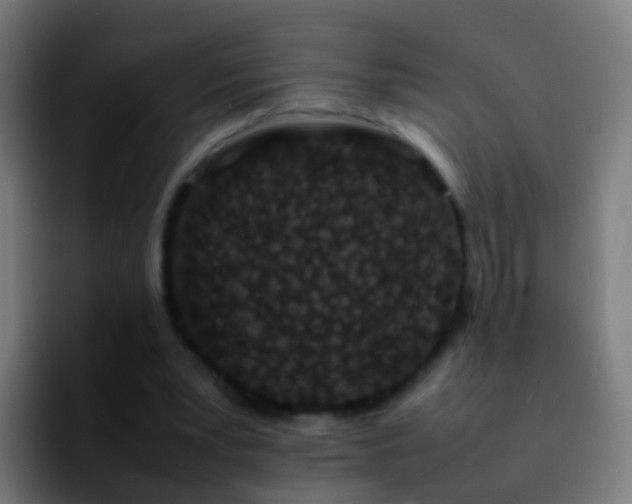 X0000092270391200709211141