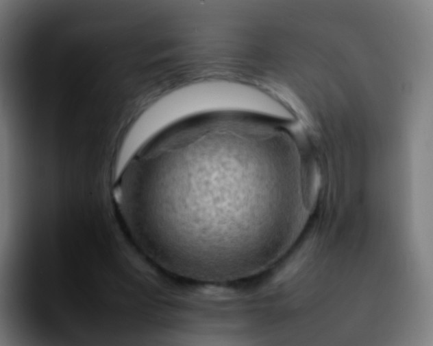 X0000092270393200709211141