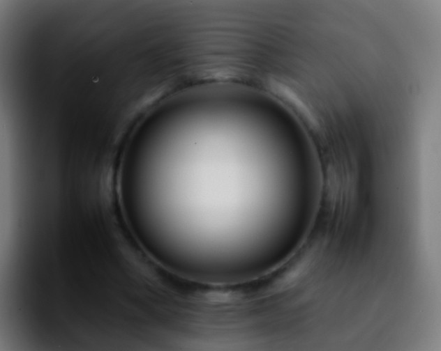 X0000092270394200709211141