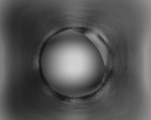 X0000092270395200709211141