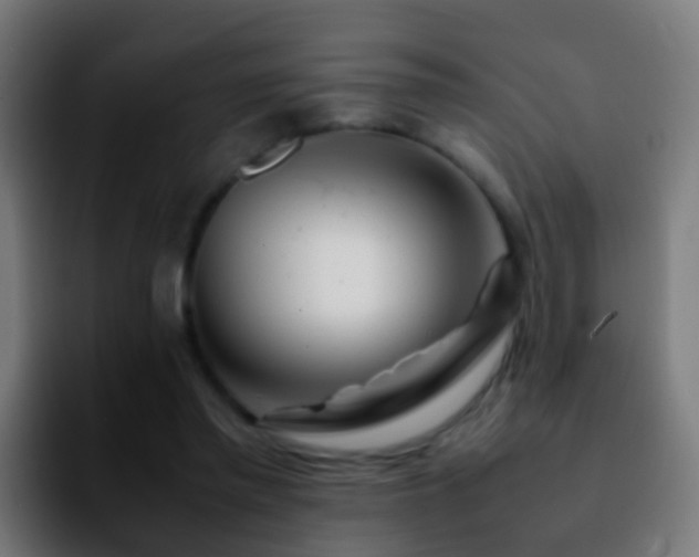 X0000092270397200709211141