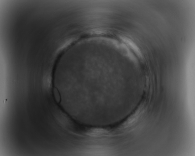 X0000092270399200709211141