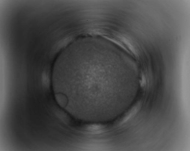 X0000092270402200709211141