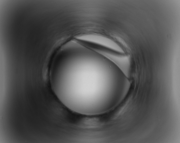 X0000092270403200709211141