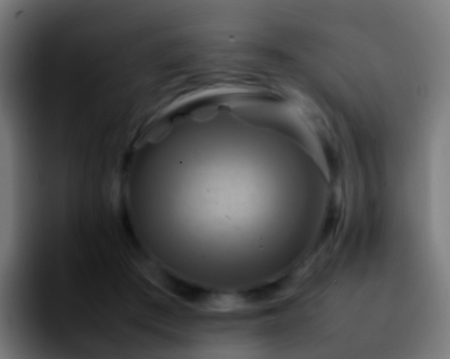 X0000092270409200709211141