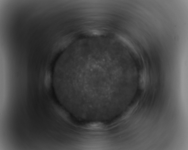 X0000092270410200709211141