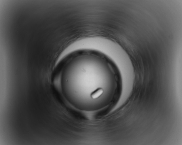 X0000092270416200709211140