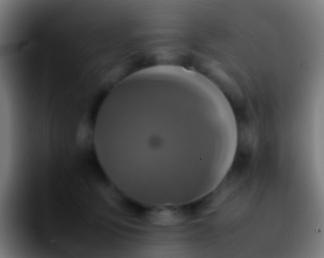 X0000092270419200709211140