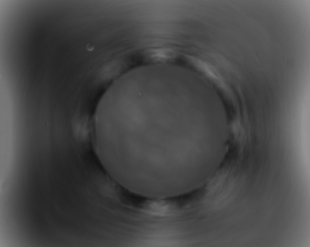 X0000092270423200709211140