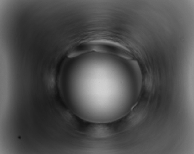 X0000092270424200709211140