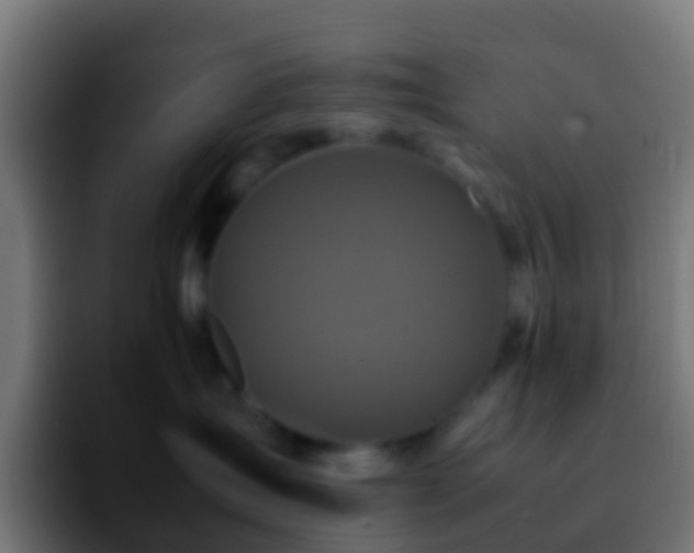 X0000092270431200709211140