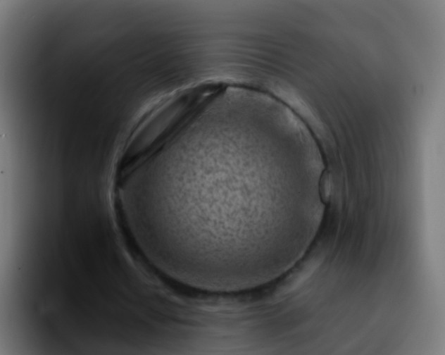 X0000092270434200709211140