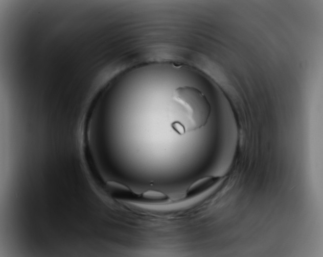 X0000092270438200709211140