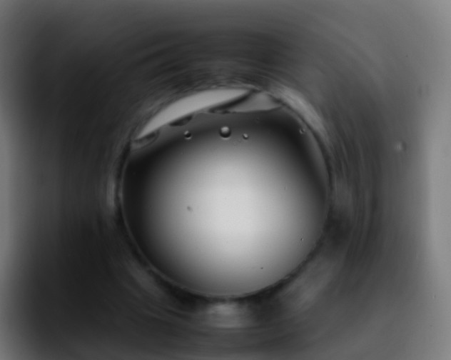 X0000092270441200709211140