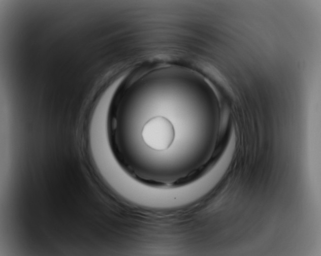X0000092270444200709211140