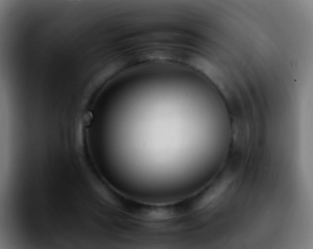 X0000092270445200709211140