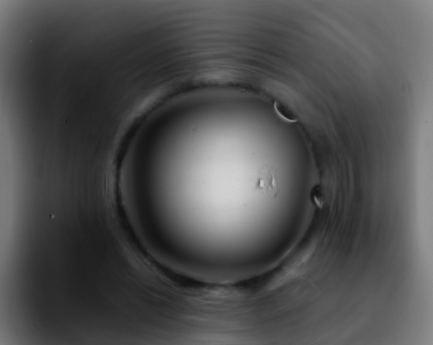 X0000092270446200709211140