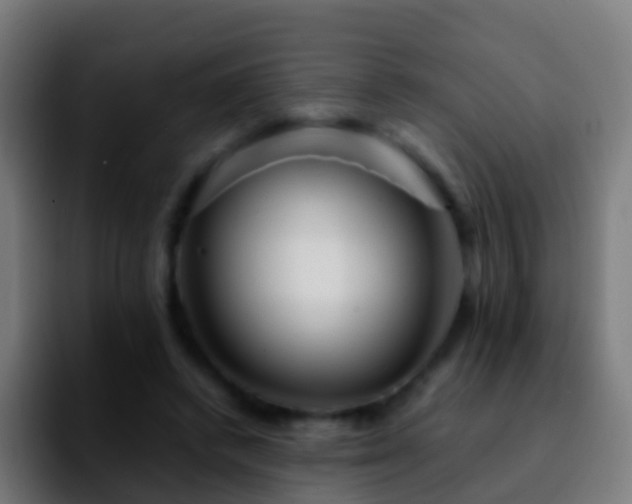 X0000092270448200709211140