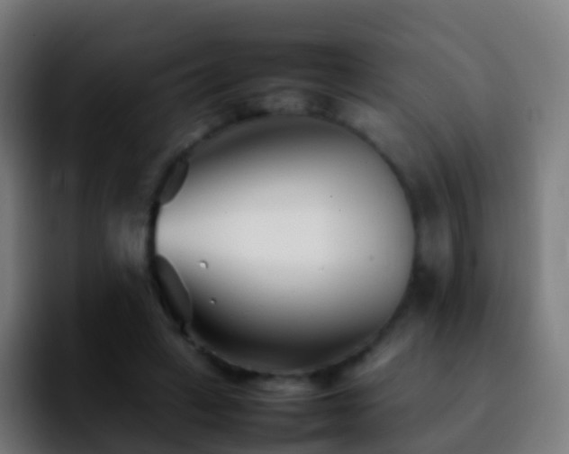X0000092270449200709211140