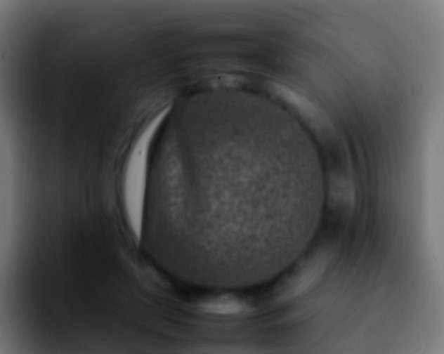 X0000092270451200709211140