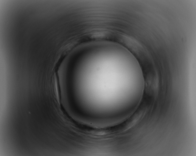 X0000092270454200709211140
