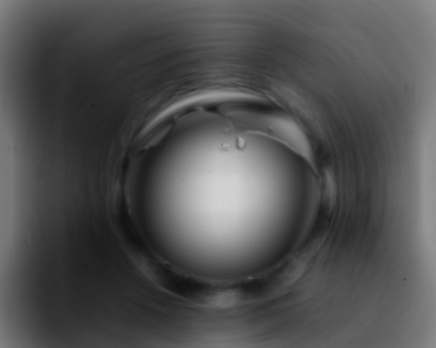X0000092270456200709211140