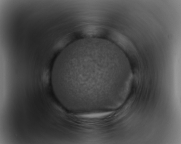 X0000092270458200709211140