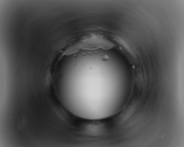 X0000092270459200709211140