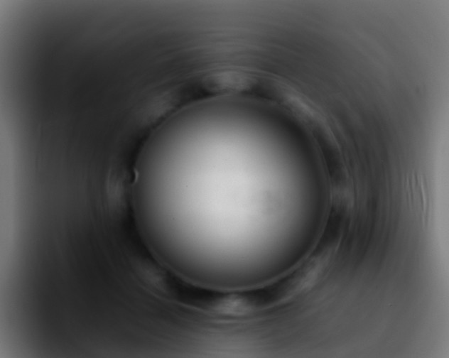 X0000092270460200709211140