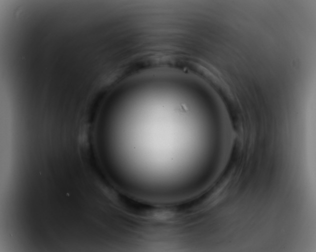X0000092270462200709211140