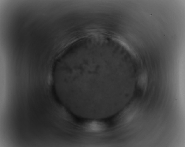 X0000092270467200709211140
