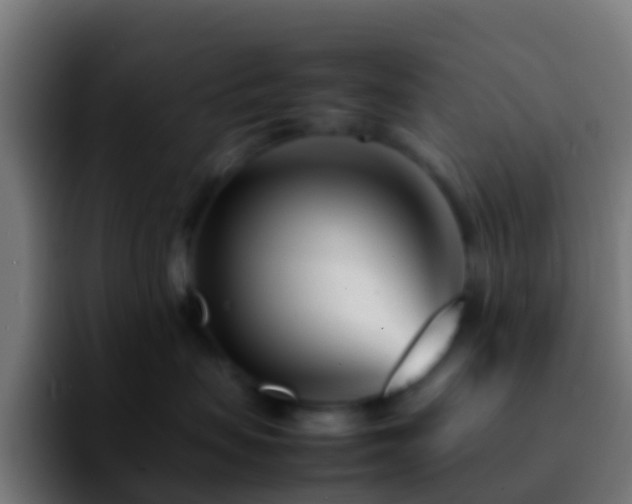 X0000092270479200709211140