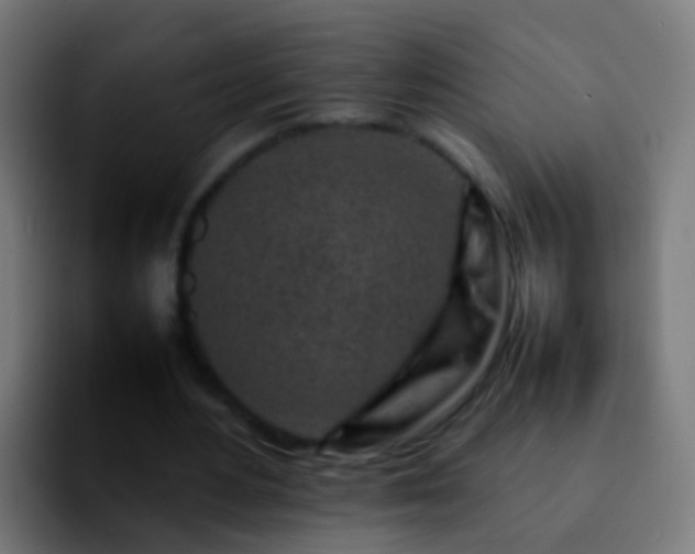 X0000092270484200709211140