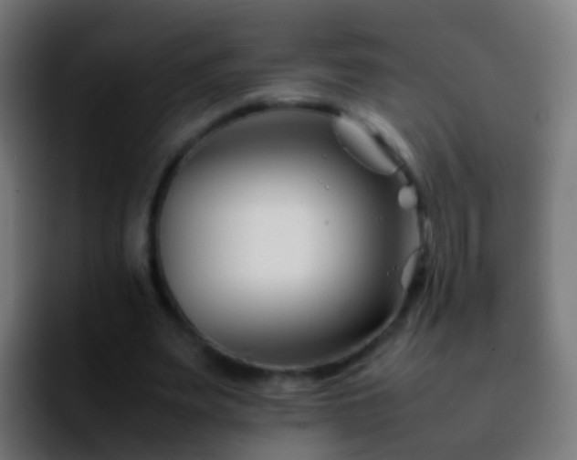X0000092270487200709211140