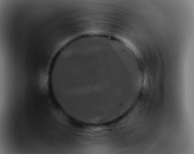 X0000092270488200709211140