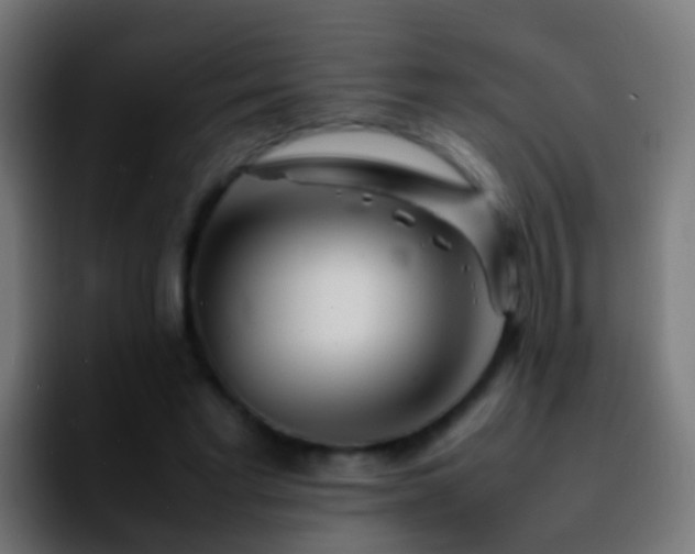 X0000092270493200709211140
