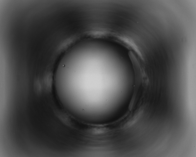 X0000092270495200709211140