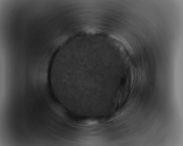X0000092270496200709211140