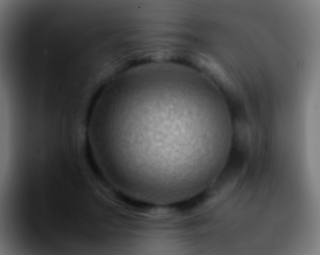 X0000092270499200709211139