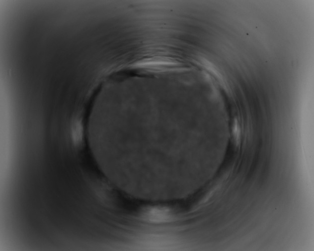 X0000092270500200709211139