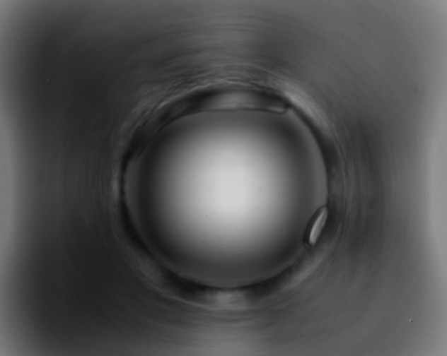 X0000092270501200709211139