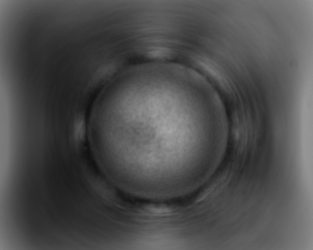 X0000092270502200709211139