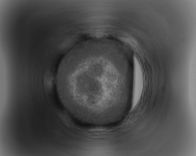 X0000092270503200709211139