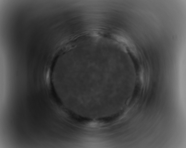 X0000092270504200709211139